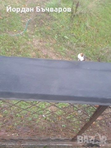 Рядък спойлер Lip Spoiler Votex за VW Golf Mk2 , снимка 5 - Части - 52694687