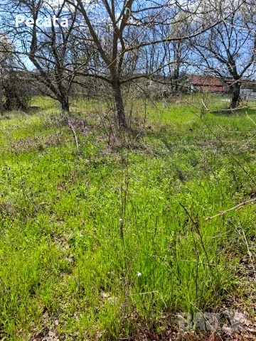 Продавам парцел, снимка 3 - Парцели - 56206506