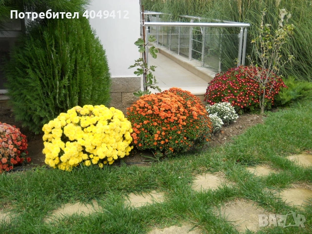 Под наем апартамент с две стаи в Свети Влас Целогодишно, снимка 10 - Апартаменти - 53255599