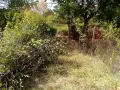 Градинар, земеделец, каруцар..., снимка 6