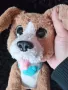 Интерактивно куче FurReal Friends Chatty Charlie/Benni Hasbro говорещ бигъл Чарли/Бени , снимка 2