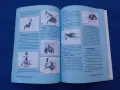 Стилист Капанов, снимка 4