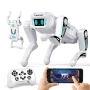 Интелигенто куче робот с дистанционно управление - STEM, снимка 3