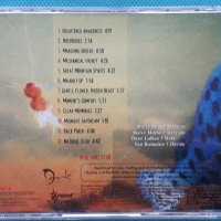 Steve Morse Band – 2002 - Split Decision(Blues Rock,Prog Rock), снимка 5 - CD дискове - 42238323