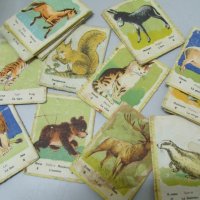 № 5978 стари детски карти / картинки   - картонени карти с картини на животни   - 19 броя   - размер, снимка 1 - Други ценни предмети - 35832619