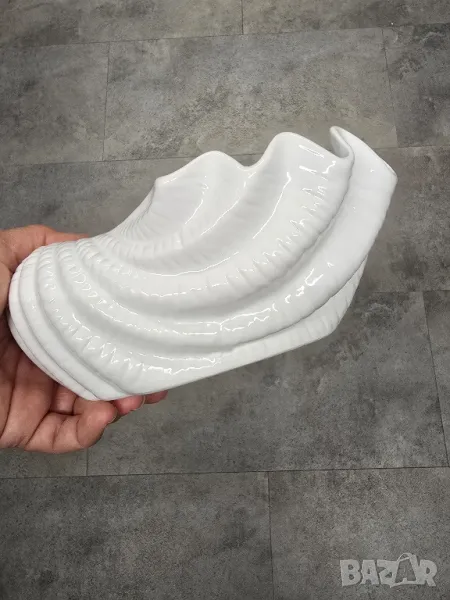 купи рапан, снимка 1