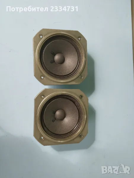 Средночестотни говорители, снимка 1