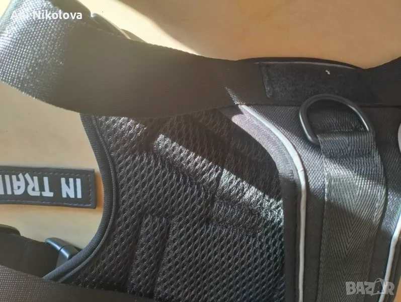 Нагръдник за средни породи, снимка 1