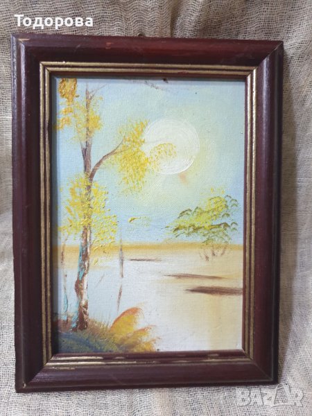 Миниатюрен пейзаж, снимка 1