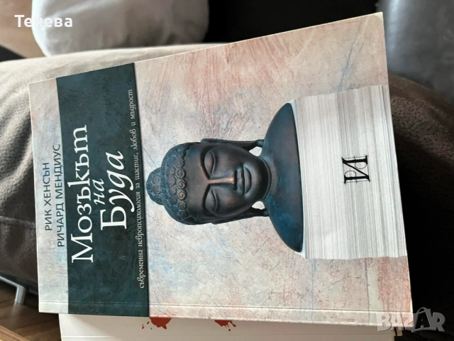 "Мозъкът на Буда" Рик Хенсън, Ричард Мендиус, снимка 2 - Енциклопедии, справочници - 52231831