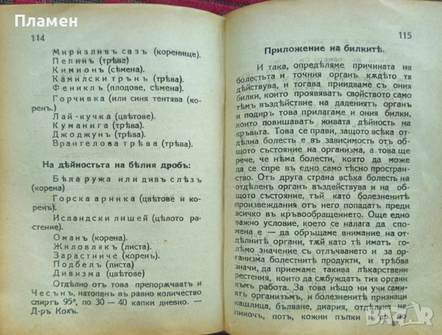 Какво казватъ билките и водата /1924/, снимка 6 - Антикварни и старинни предмети - 53873203