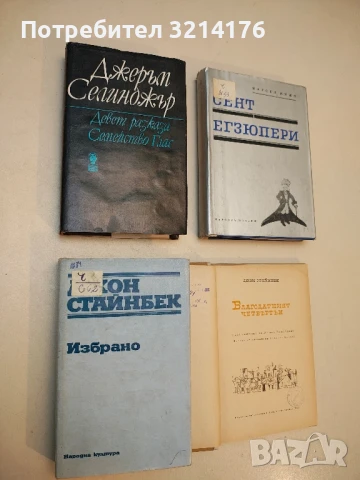 Девет разказа. Семейство Глас - Джеръм Селинджър