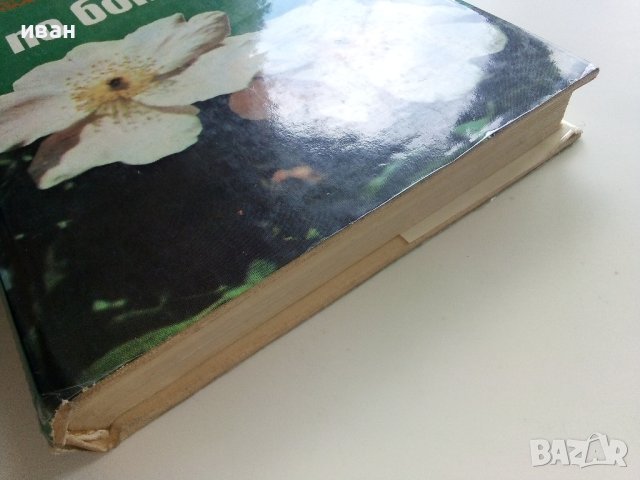 Атлас по Ботаника - Сл.Петров,Е.Паламарев - 1994г.  , снимка 9 - Енциклопедии, справочници - 42277632