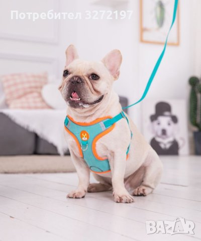 Регулируем,светлоотразителен нагръдник за куче - Високо качество, снимка 3 - За кучета - 41015468