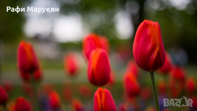 ВИСОК КЛАС филмов "NIKON F-90X" с грип за батерии, снимка 6 - Фотоапарати - 55984586