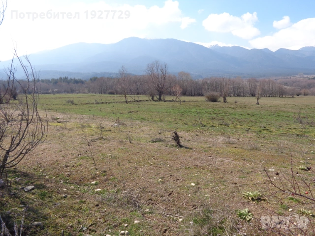 7 дка недвижим имот край град Банско, снимка 2 - Земеделска земя - 22046331