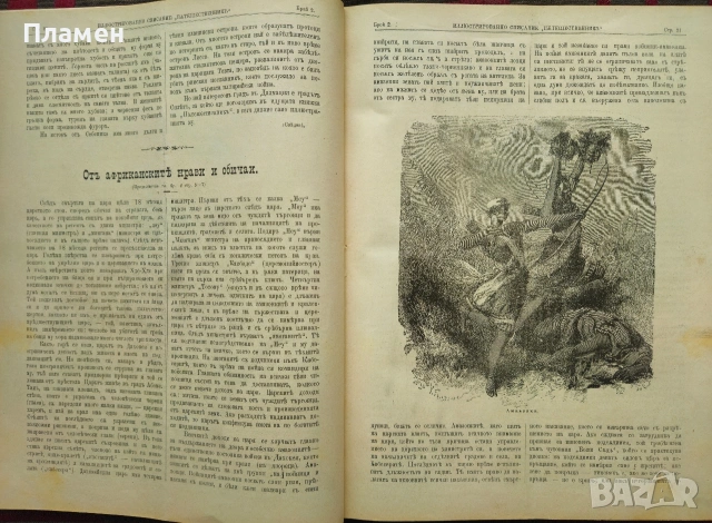 Природа. Кн. 1-9 / 1923, Пътешественикъ. Бр. 1-12 / 1897, Илюстрация Светлина: Юбилейна книга / 1918, снимка 5 - Антикварни и старинни предмети - 53353555