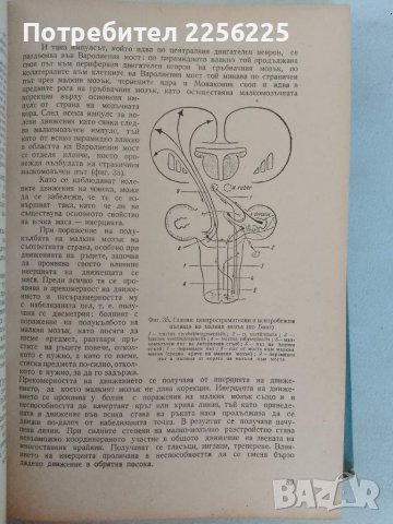"Нервни болести", снимка 6 - Специализирана литература - 47481969