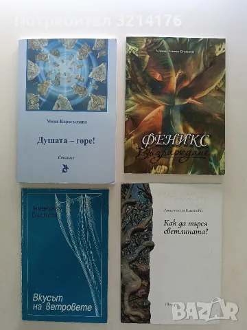 НОВА! Как да търся светлината? - Анастасия Кметова 