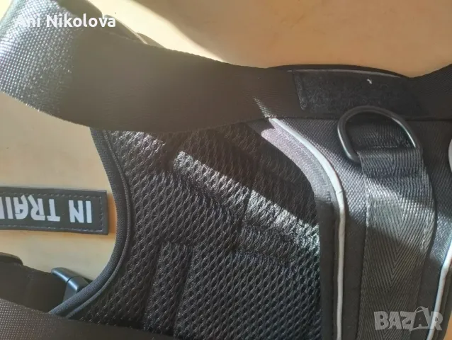 Нагръдник за средни породи