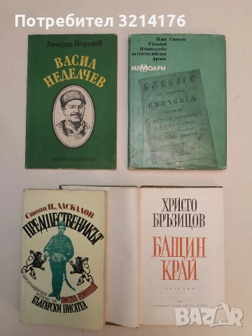 Предшественикът. Биографичен роман за Никола Войводов - Стоян Ц. Даскалов