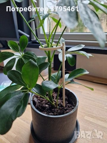 Аксесоари за растения