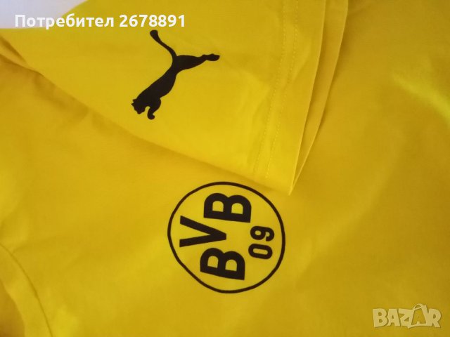 Памучна тениска"  PUMA" на Борусия Дортмунд, снимка 4 - Спортни дрехи, екипи - 41690292