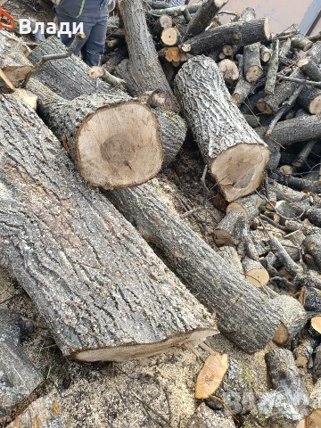 Орех-орехови трупи, снимка 6 - Дърводелски услуги - 53704493