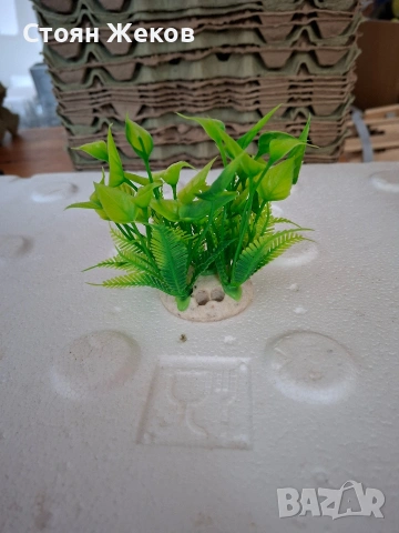 продавам изкуствено растение, снимка 2 - Оборудване за аквариуми - 53694832