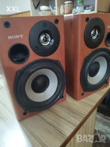 двулентови тонколони sony, снимка 2 - Тонколони - 51061602
