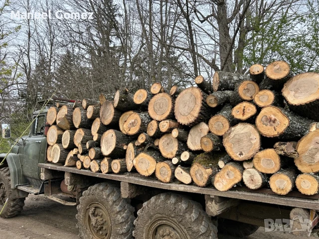 дърва за огрев , снимка 3 - Други услуги - 50447276