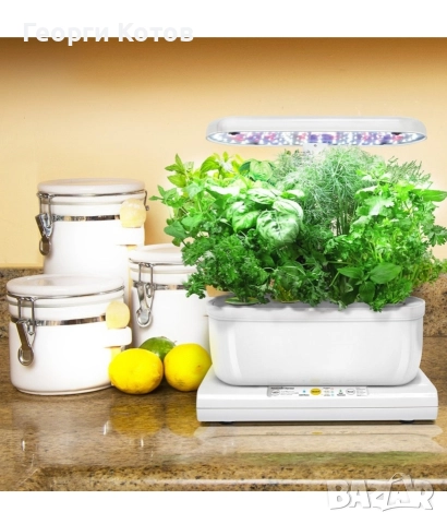 Домашна градина отглеждане на билки AeroGarden, снимка 3 - Друга електроника - 52976002