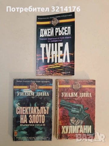 Тунел. Градският бандитизъм на бързи обороти и в свободен стил! - Джей Ръсел (Отлично състояние), снимка 1 - Художествена литература - 52964352