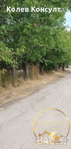 Къща село Ценово, снимка 3 - Къщи - 53813280