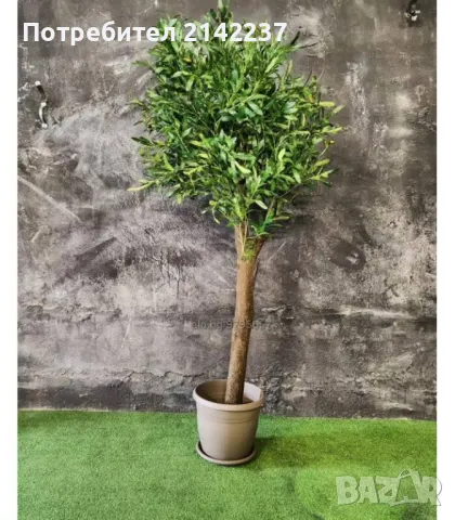 Изкуствено маслиново дръвче, снимка 3 - Изкуствени цветя - 47379367