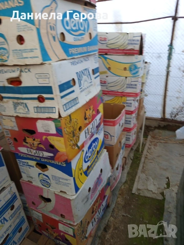 Бананови кашони , снимка 2 - Друго търговско оборудване - 53710372