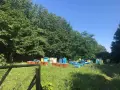 Домашен пчелен мед, снимка 4
