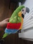 Цветен разговорлив папагал Интерактивна записваща и музикална играчка, която маха с криле и учи деца, снимка 12
