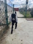  🐐 Продавам мъжки англо-нубийски ярета, снимка 6