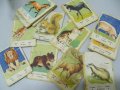 № 5978 стари детски карти / картинки   - картонени карти с картини на животни   - 19 броя   - размер