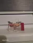 парфюмни мостри" Lancome", снимка 3