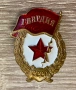 Винтидж значка „Гвардия“ СССР, месинг, тежка (≈18 г), снимка 1