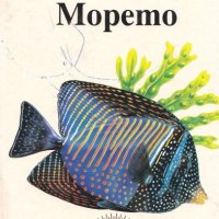 Моята първа енциклопедия: Морето, снимка 1 - Детски книжки - 42055418