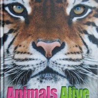 Animals Alive (DK Publishing), снимка 1 - Енциклопедии, справочници - 42336344