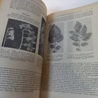[Гойман Э.] "Инфекционные болезни растений" от 1954, снимка 4 - Специализирана литература - 39456518