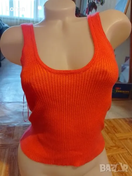 Потниче в оранджев цвят , снимка 1