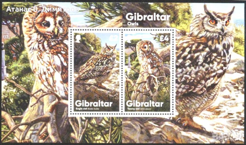 Чист блок Фауна Птици Сови 2020 от Гибралтар, снимка 1