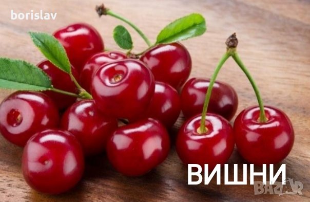 Продавам Вишни и Вишновки, снимка 1
