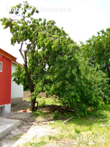 Предлагаме парцел 850 кв.м. намиращ се на главния път А27, снимка 14 - Парцели - 53635312