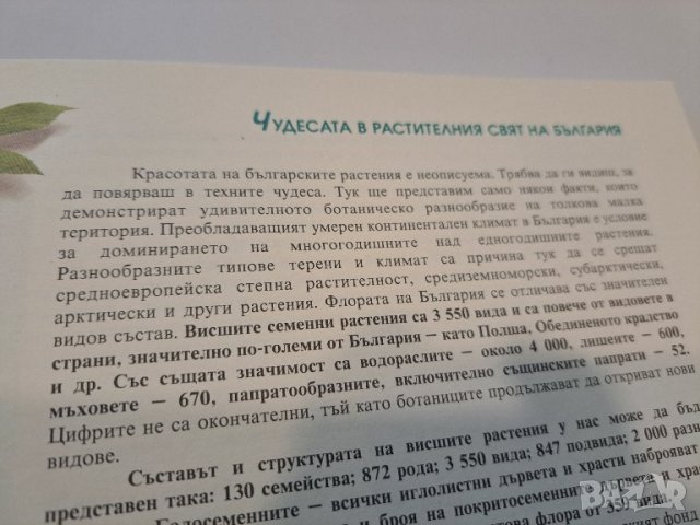 Зеленото злато на България, снимка 3 - Енциклопедии, справочници - 44321802